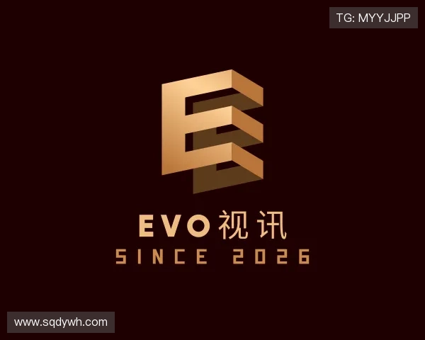 了解EVO视讯
